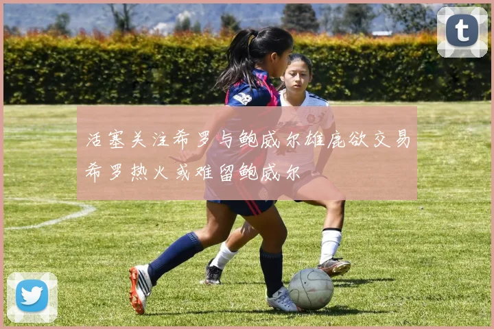 活塞关注希罗与鲍威尔雄鹿欲交易希罗热火或难留鲍威尔